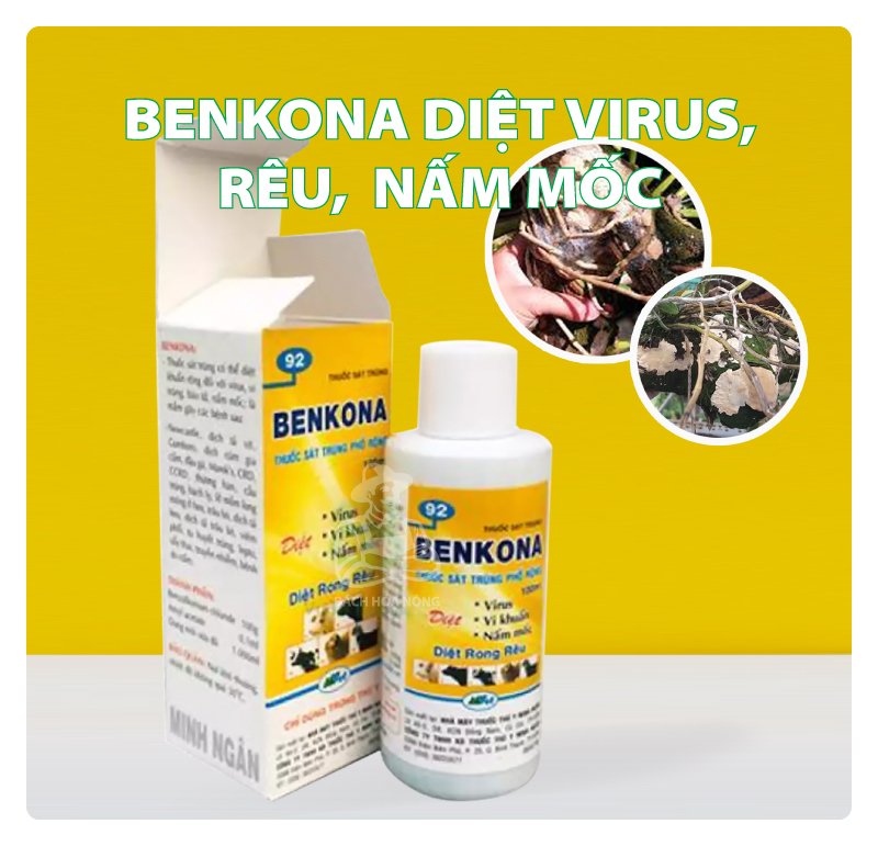 [Chính hãng] Benkona- sát khuẩn, khử trùng  , diệt rong rêu ( chai 100ml)