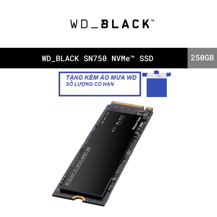 Ổ cứng SSD WD Black 250GB SN750 M.2 PCIe Gen3 x4 NVMe | BigBuy360 - bigbuy360.vn