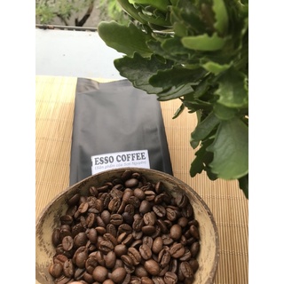 ROBUSTA - TỔNG ĐẠI LÝ CAFE HẠT