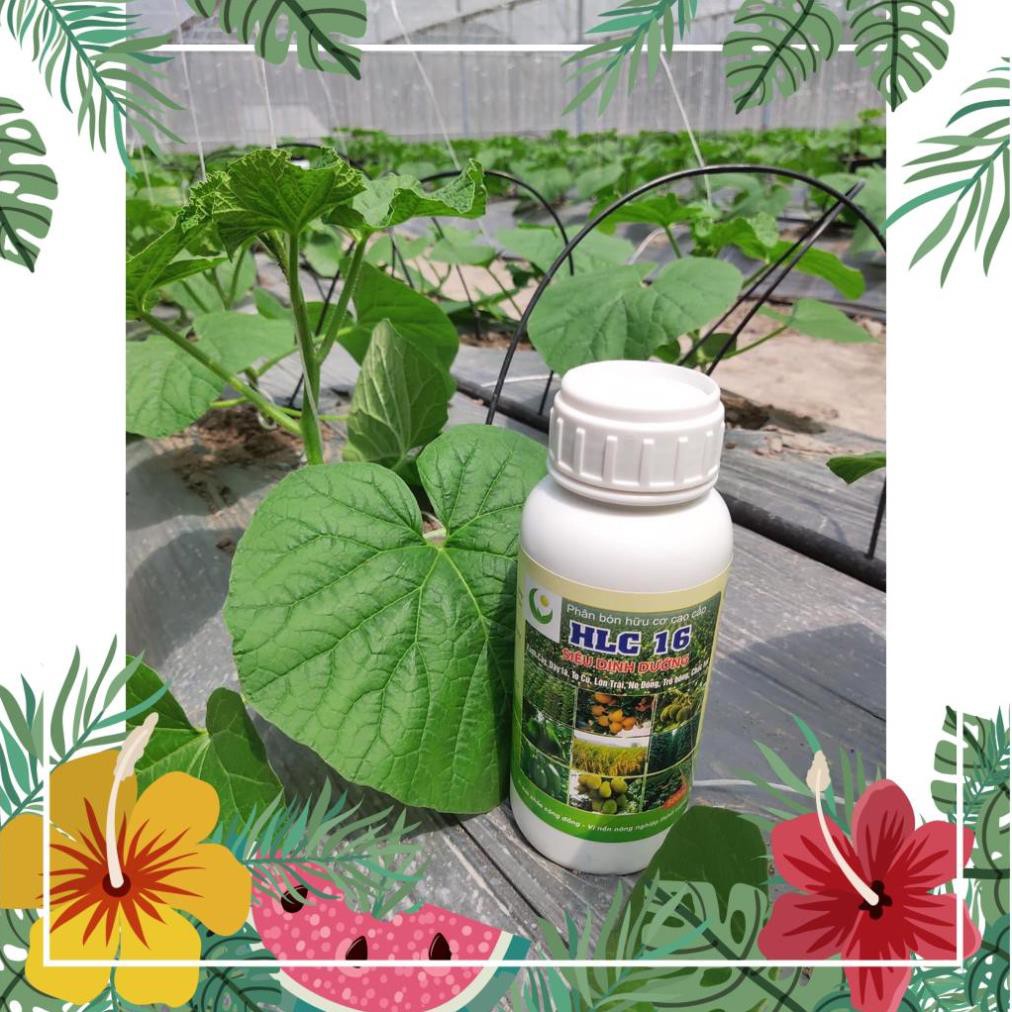 PHÂN BÓN HỮU CƠ CAO CẤP HLC 16 - PHÂN BÓN LÁ KÍCH MẦM KÍCH CHỒI DƯỠNG TRÁI CHO CÂY ĂN QUẢ, HOA, CÂY CẢNH, RAU MÀU- 500ML
