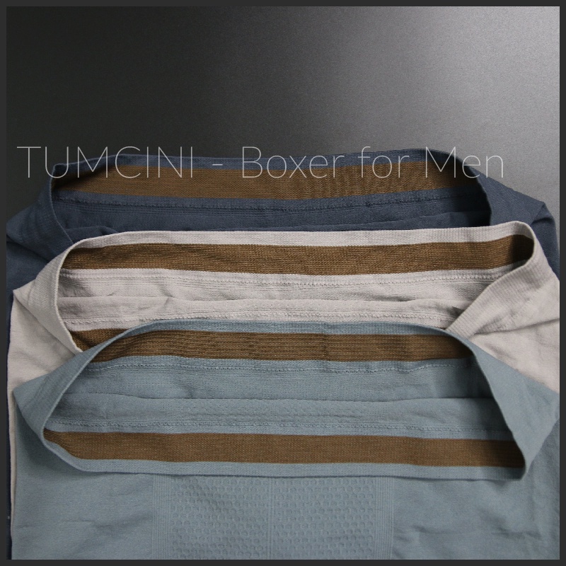 Quần lót nam boxer sịp đùi cao cấp thun lạnh cotton freesize 40-90 kg Tumcini QLN01