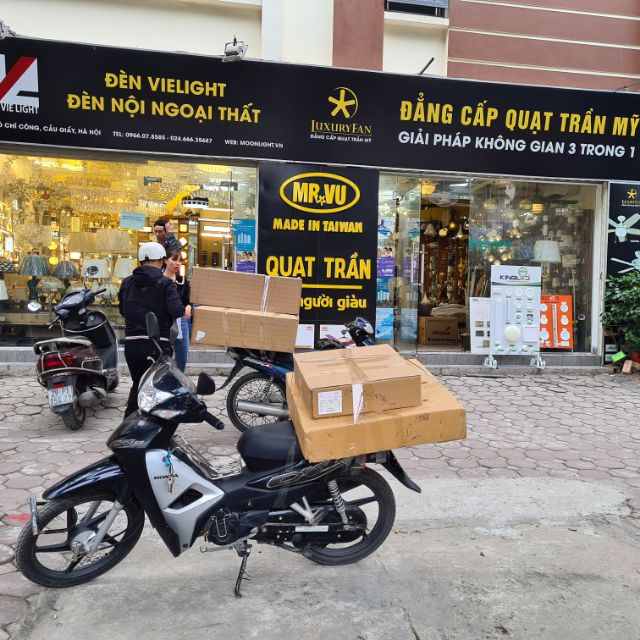 STARDECOR KHO ĐÈN TRANG TRÍ