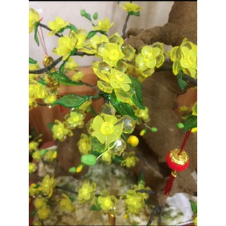 set nguyên liệu làm 100 bông mai đá