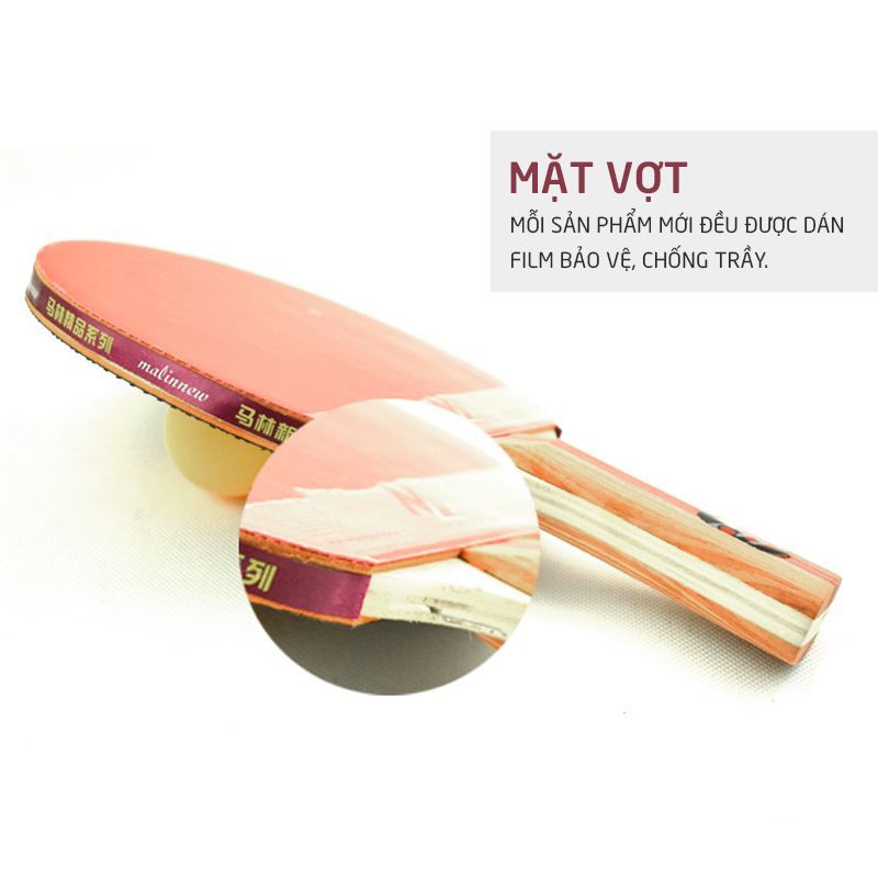 Bộ 2 Vợt Bóng Bàn Sportslink BB777 Tặng Kèm 8 Bóng