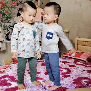 Combo bộ Cotton xuất Hàn cho khách