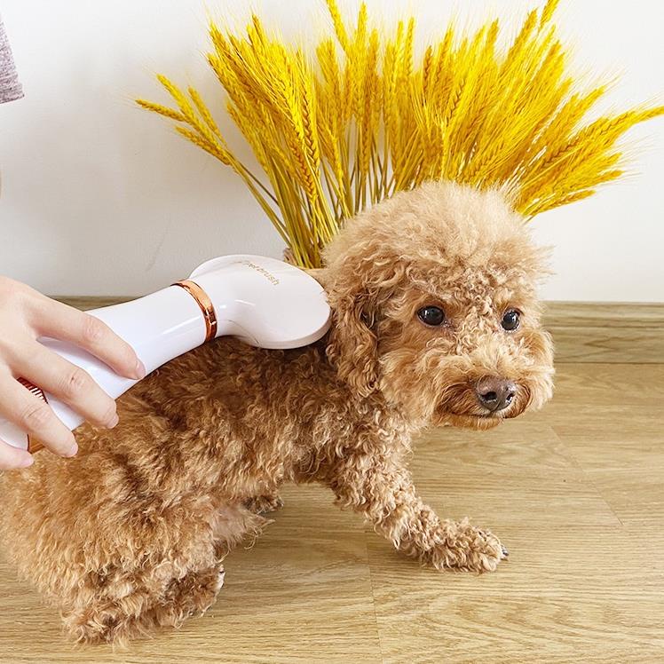 Máy Sấy Lông Cho Thú Cưng, Lược Chải Lông Cho Chó Mèo 2 in 1
