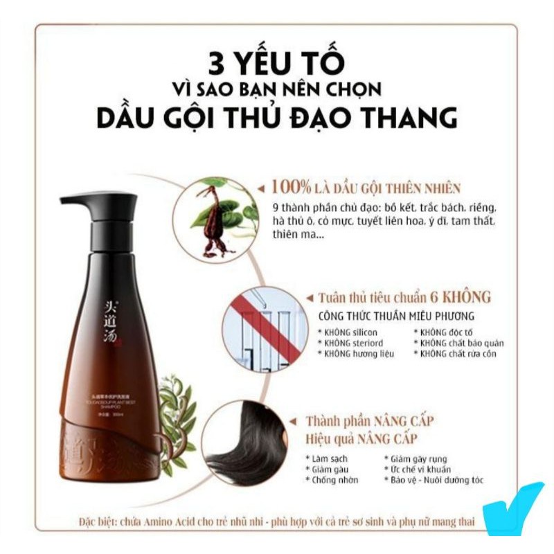 DẦU GỘI THỦ ĐẠO THANG CHÍNH HÃNG