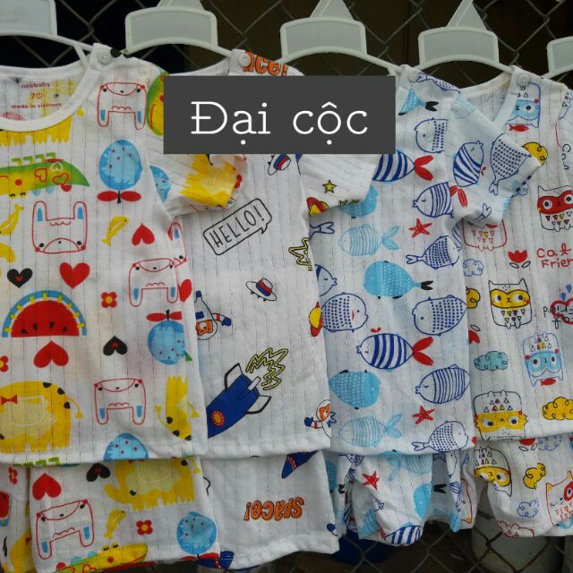 Bộ cộc tay cho bé