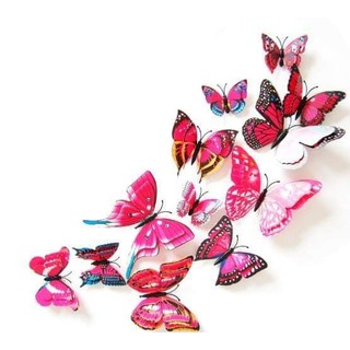 Decal dán tường  hình bướm 3D