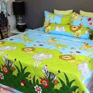 Bộ ga giuong cotton