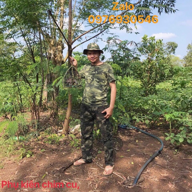 Thể Hoàng pk chim cảnh