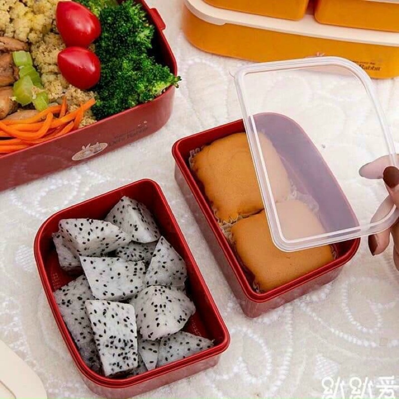 Hộp đựng cơm 2 tầng phong cách Hàn quốc.