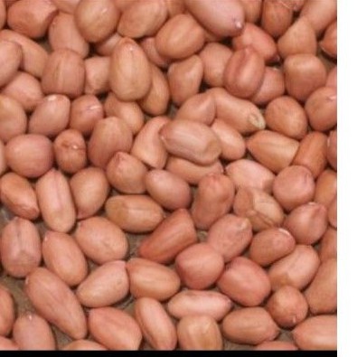 Lạc khô bóc vỏ 1g