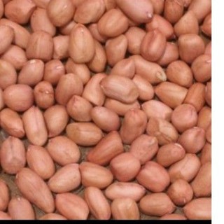 Lạc khô bóc vỏ 1g