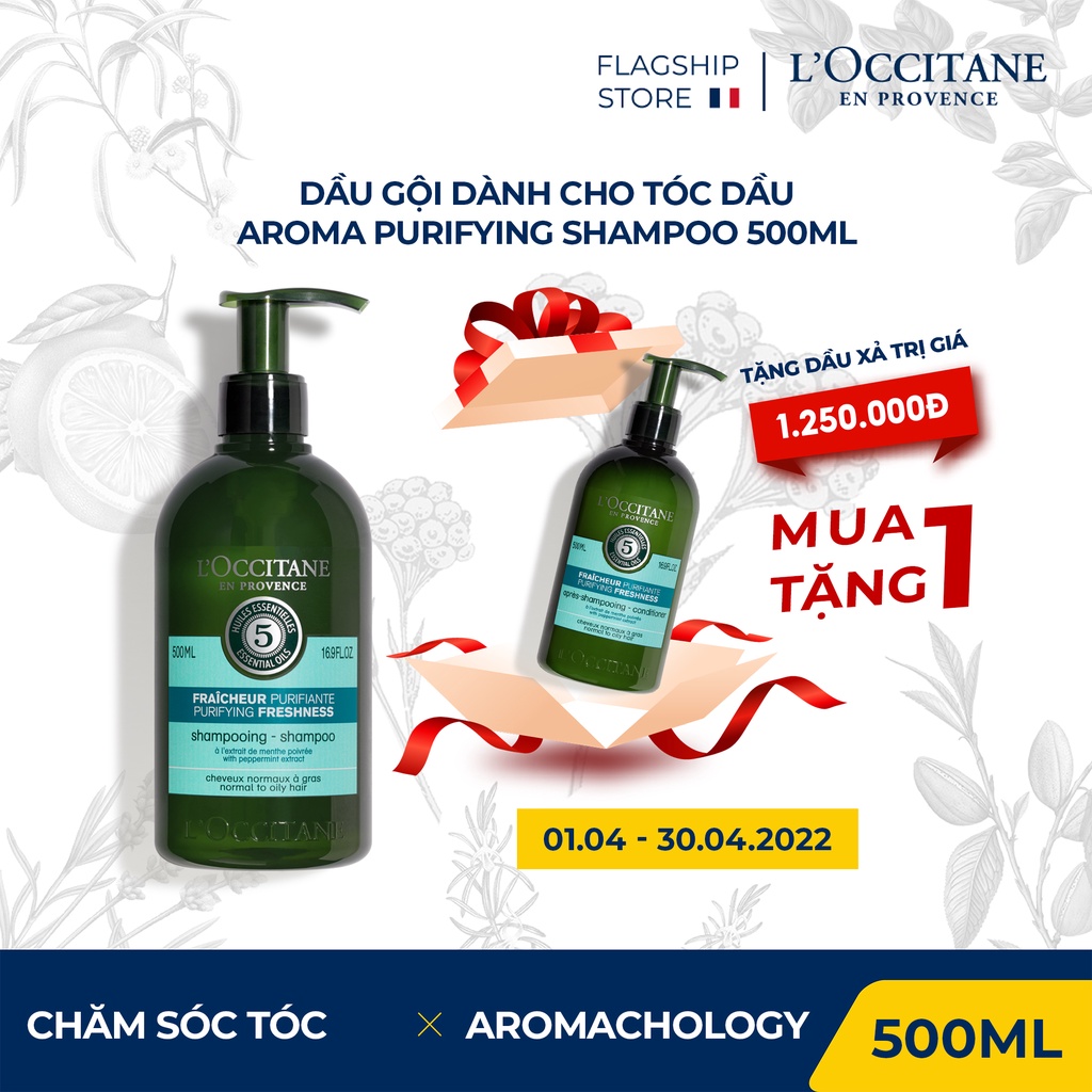 Dầu gội dành cho tóc dầu L'Occitane Aroma Purifying Shampoo 500Ml