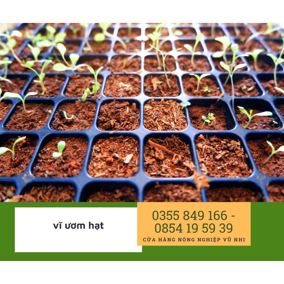 Khay ươm hạt giống 104 lỗ/khay dày đẹp