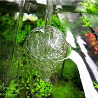 Cốc sủi oxy chống văng nước cho bể cá , bể thuỷ sinh bằng thủy tinh