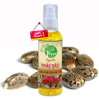 Tinh Dầu Thầu Dầu OYE Nguyên Chất - Dưỡng da trắng hồng tự nhiên