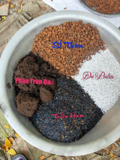 Đá Perlite