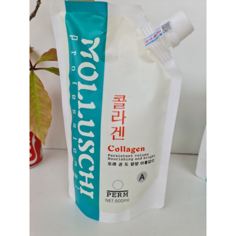 Uốn lạnh 4D Molluschi Hàn Quốc