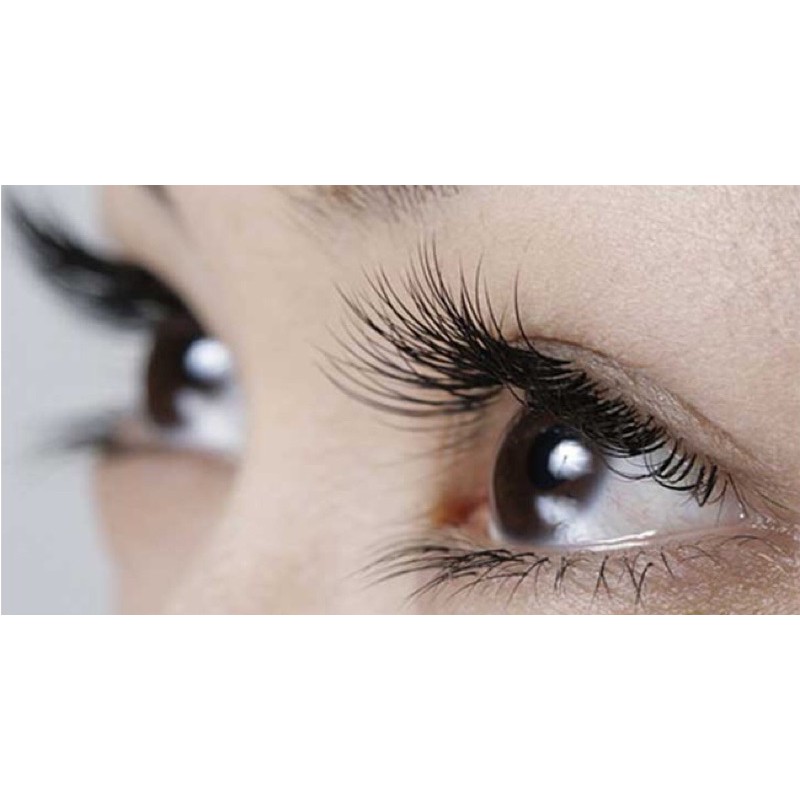 Kẹp Bấm Mi Nhựa Eyelash Giúp Cho Đôi Mi Cong Đẹp Tự Nhiên