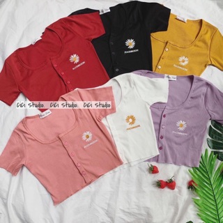 Áo thun Croptop thêu hoa cúc