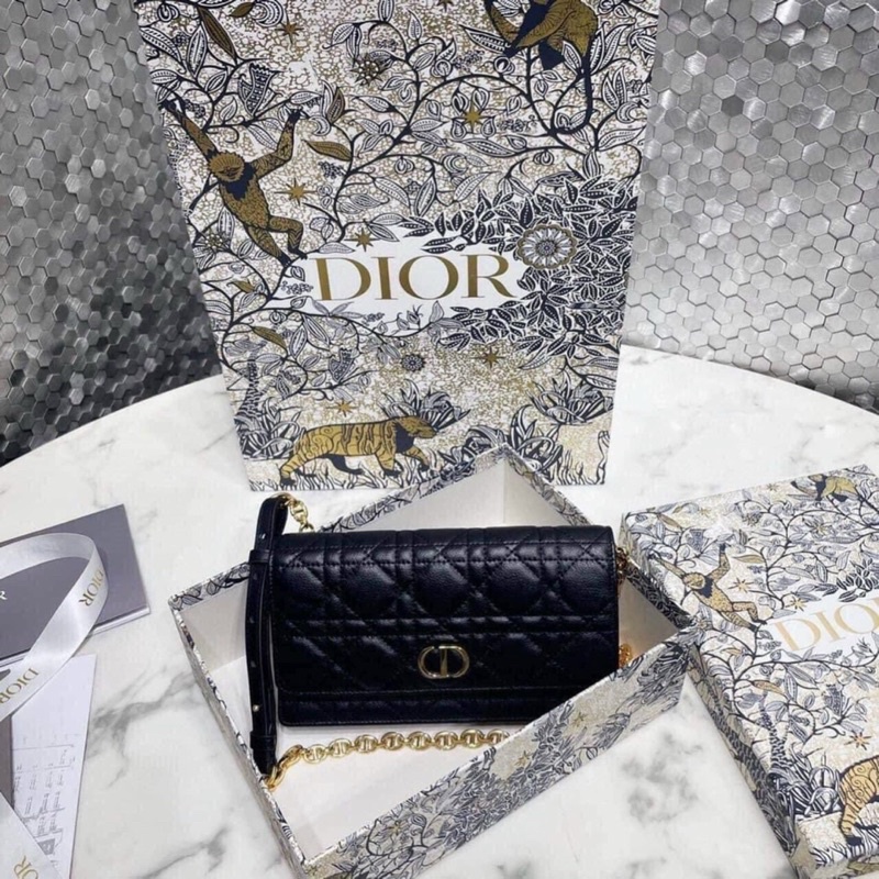 Túi dior woc spsl