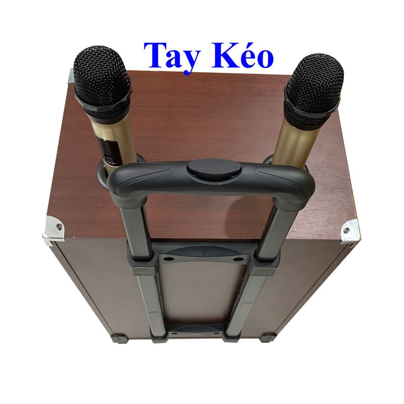 Loa Kéo Karaoke Di Động Malata 9012Y Kèm 2 Micro Không Dây Hát Hay