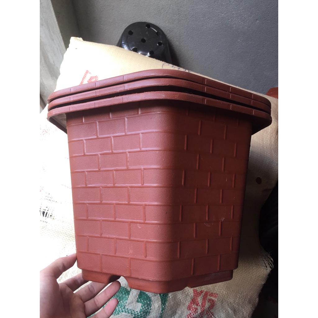 10 CHẬU NHỰA LỤC GIÁC MÃ #450 (DỊCH TRUYỀN CỨU CÂY, KÍCH RỄ MẦM CÂY, BẦU KHAY TÚI ƯƠM..)