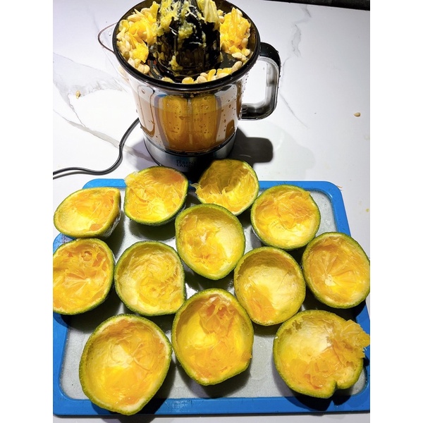 💥 MÁY VẮT NƯỚC CAM LEBENLANG LB389 💥BH 24 tháng