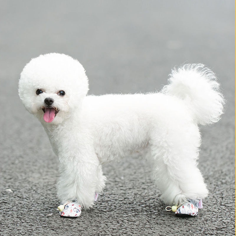 Giày đi Chơi Dành Cho Thú Cưng Thời Trang In Hình Mèo Dễ Thương Bốn Mùa Nói Chung Giày Thú Cưng Vừa Và Nhỏ Thoáng Khí Không Trơn Trượt Chống Mài Mòn