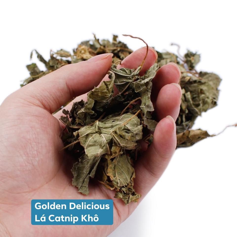 Lá Cây Catnip Khô Nguyên Lá Cho Mèo - Bao Phê - Tốt Cho Hệ Tiêu Hóa - Kích Thích Thèm Ăn - Tiêu Búi Lông Trong Ruột