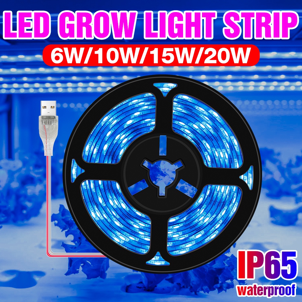 Dây Đèn LED USB Dùng Trồng Cây Chuyên Dụng
