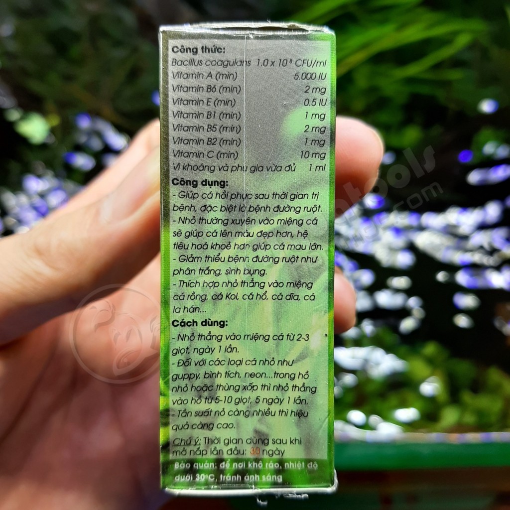 Koika BAC M | Vi sinh đường ruột kết hợp vitamin cao cấp cho cá tép cảnh