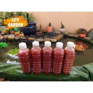 Vi Sinh Quang Hợp PSB - Vi Khuẩn Quang Hợp PSB [ Chai 500ml ]