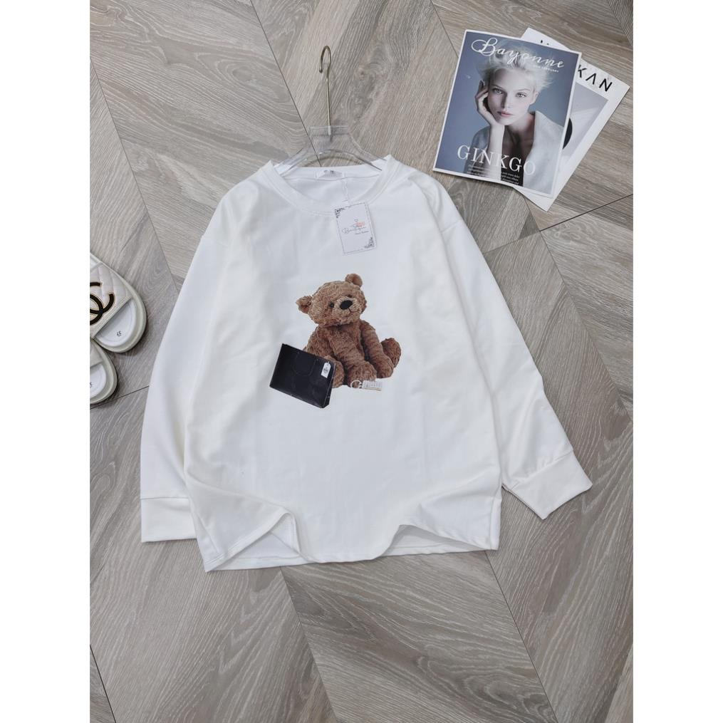 [ 𝐅𝐑𝐄𝐄 𝐒𝐇𝐈𝐏 ] ÁO THUN GẤU NÂU LÔNG XÙ DÀI TAY