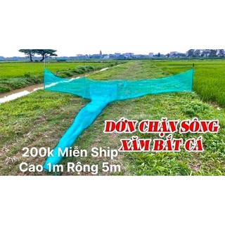 Dớn chặn sông, dớn bắt cá, lưới bắt cá