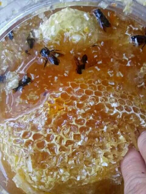 Mật ong rừng nguyên chất 1000ml