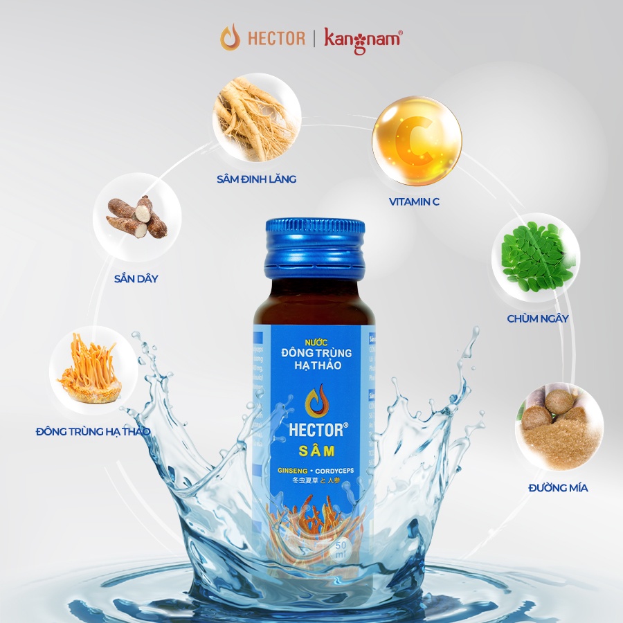 Nước Đông Trùng Hạ Thảo Hector Sâm Hộp 10 Chai x 50ml Hector Cordyceps Ginseng