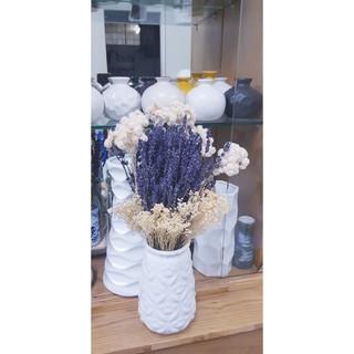 Hoa Bloom nhập khẩu Hà Lan