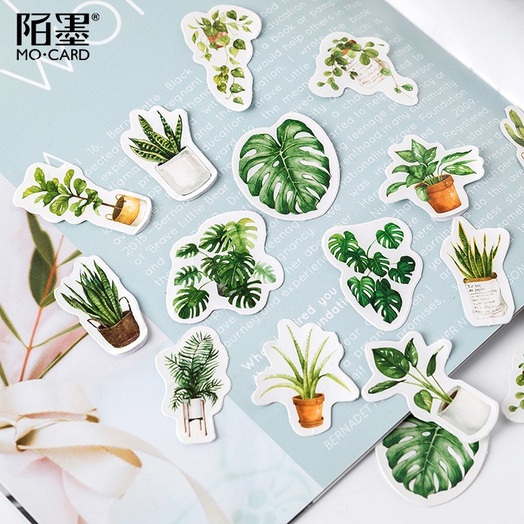 Hộp 45 Miếng Dán Trang Trí Hình Cây Lá Màu Xanh Của Cuộc Sống Xinh Xắn-M07