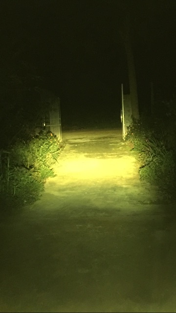 1 Bóng pha led 2 màu siêu sáng chân M5 dream hoặc H4  cos vàng 3000k / pha trắng 6000k