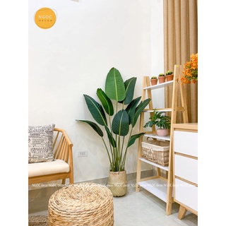 Cây giả Decor - Cây chuối