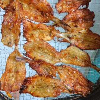 Khô cá mối tiêu đường 1kg