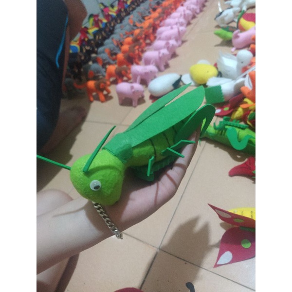 Con vật nỉ