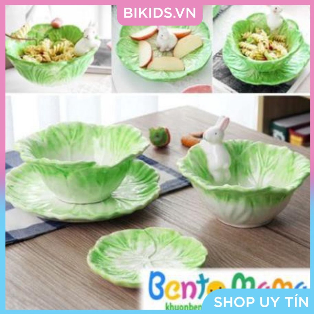 Bát/đĩa ăn dặm bắp cải thỏ - Cao cấp