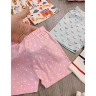 - Giấy dán tường cao cấp