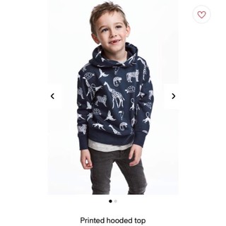 Áo nỉ Hoodie HM xuất xịn có 5 mẫu 2-14y (12-50kg)