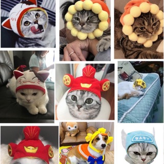 Mũ Cosplay xinh cho chó mèo