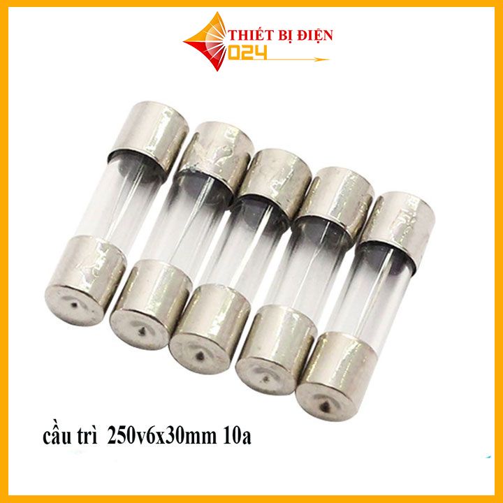 Cầu Chì Ống 6x30mm 250V